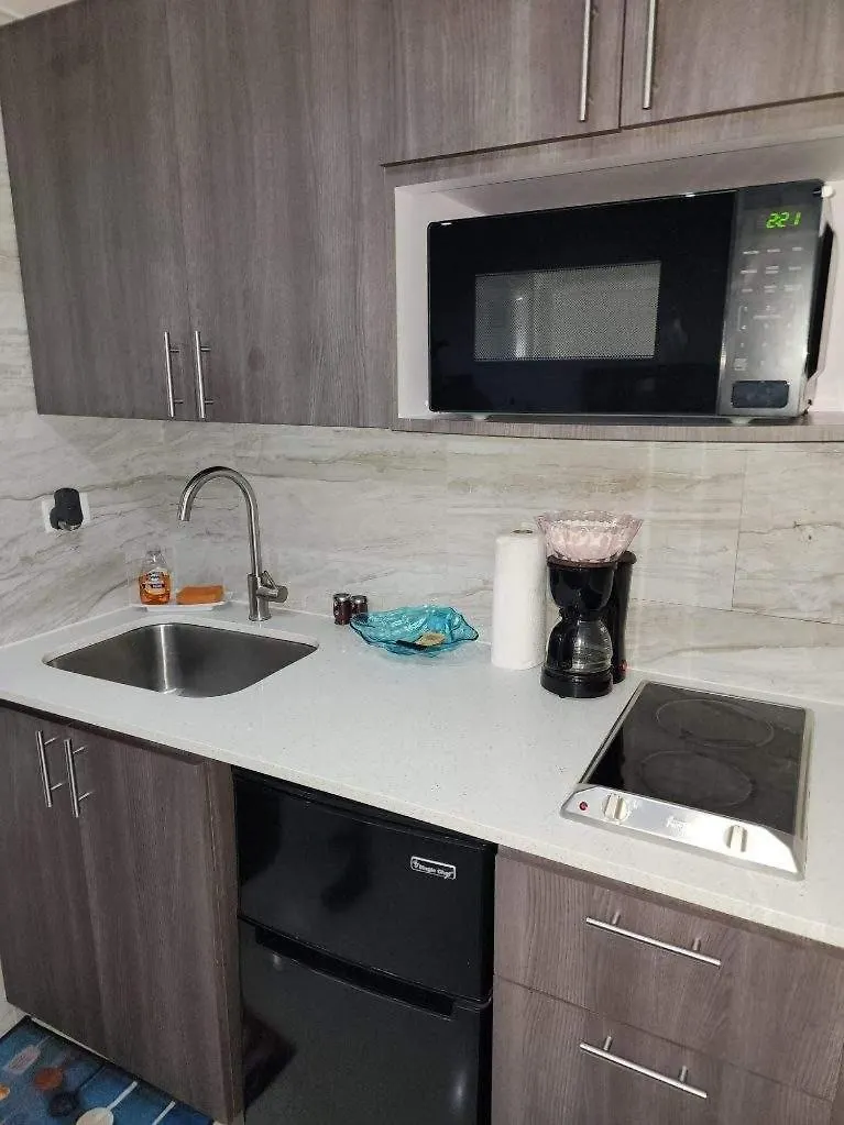 Starfish Luxury Apartment San Juan